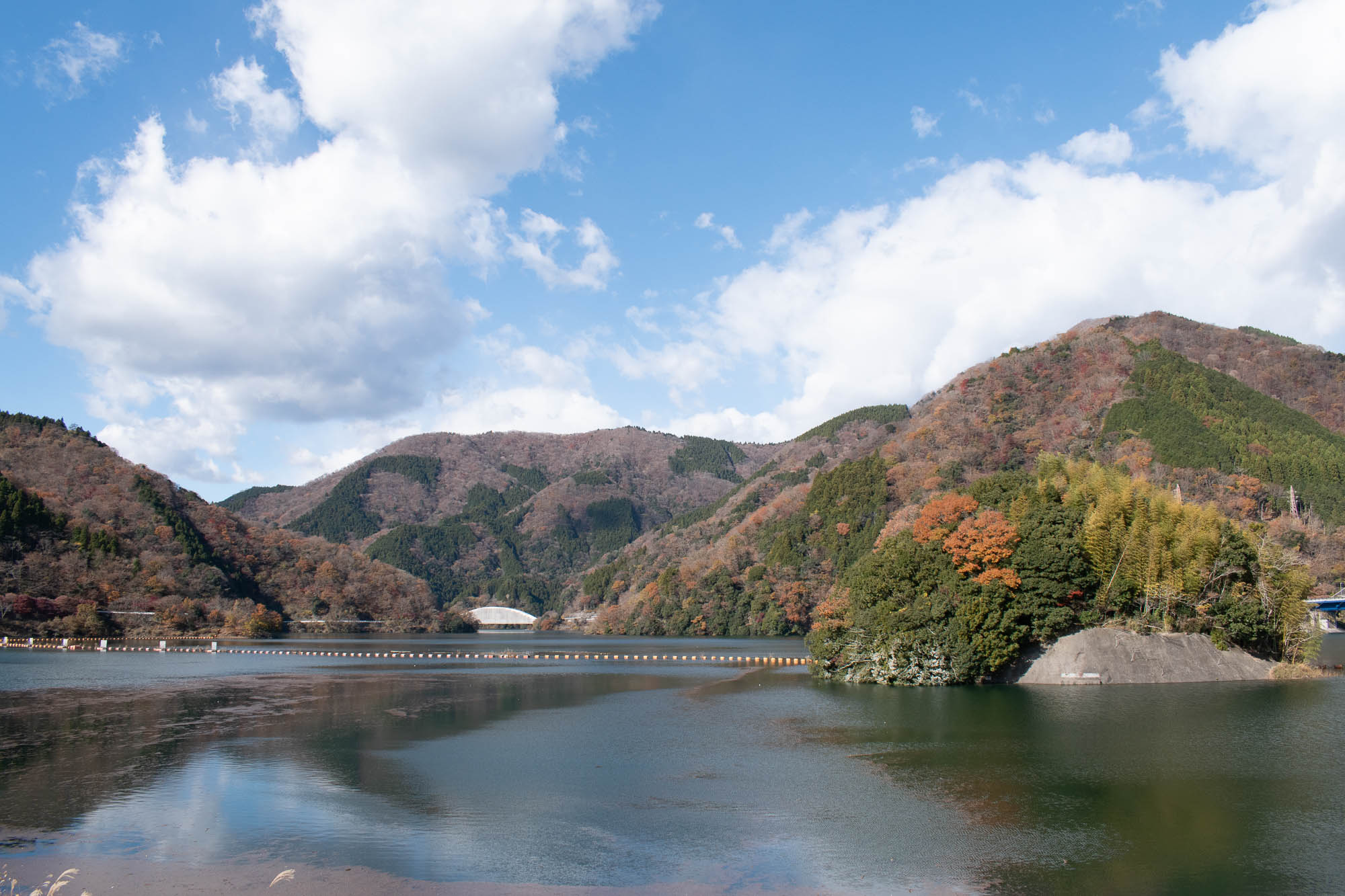 三保ダム北側を臨む_2024年12月の紅葉