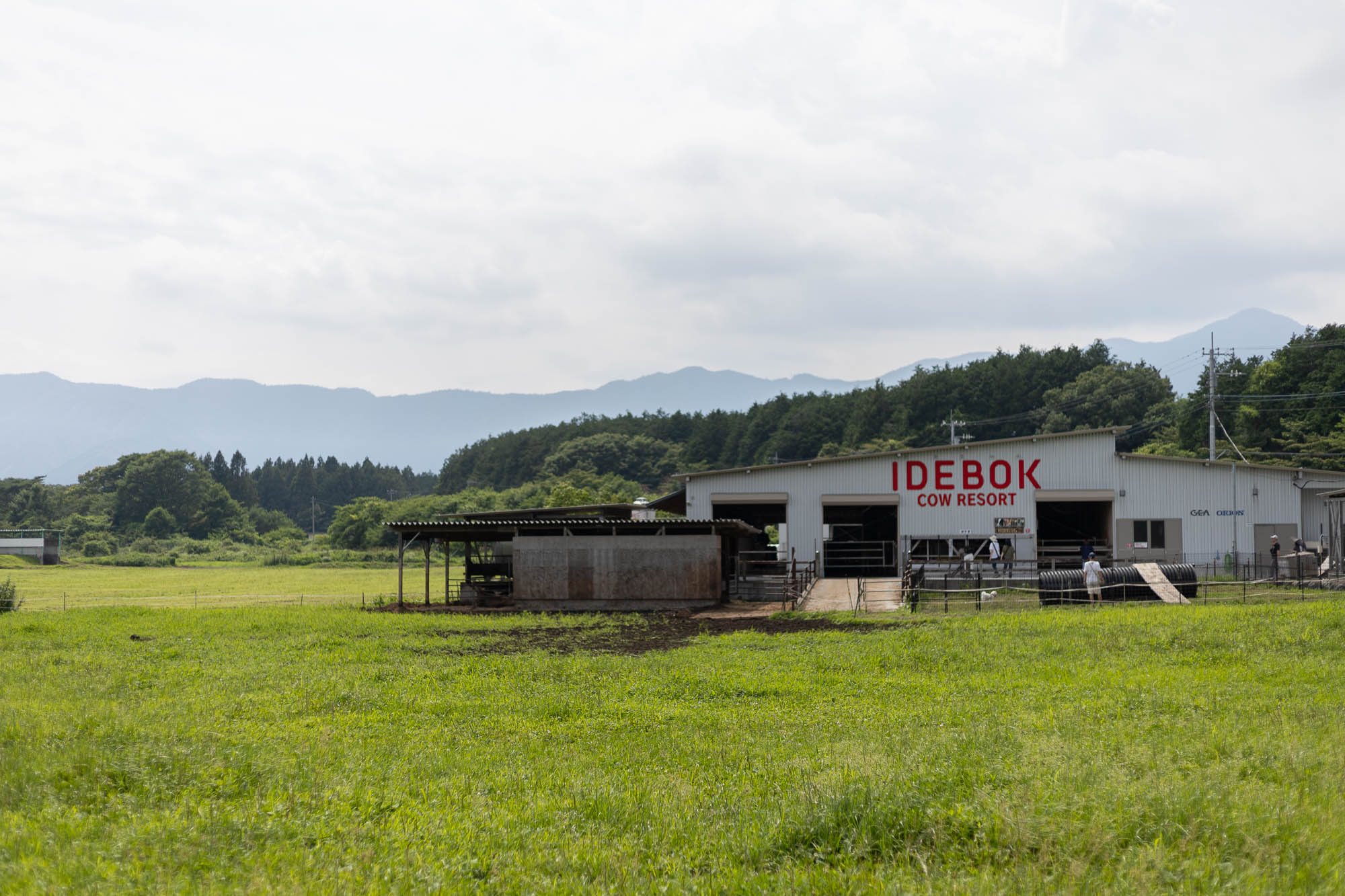Ideboku 富士高原の店舗。濃厚なソフトクリームが味わえる