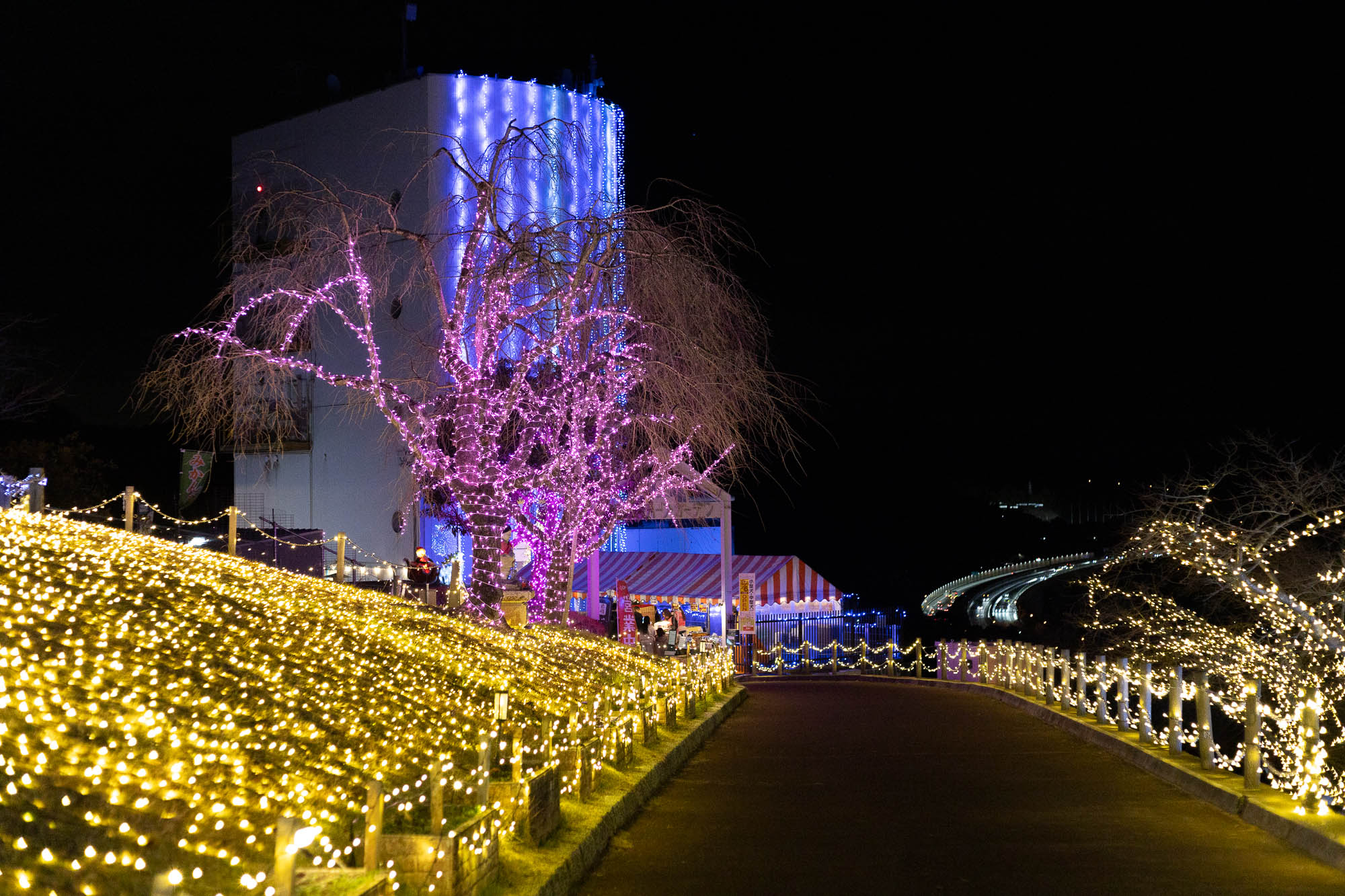 松田きらきらフェスタ2025