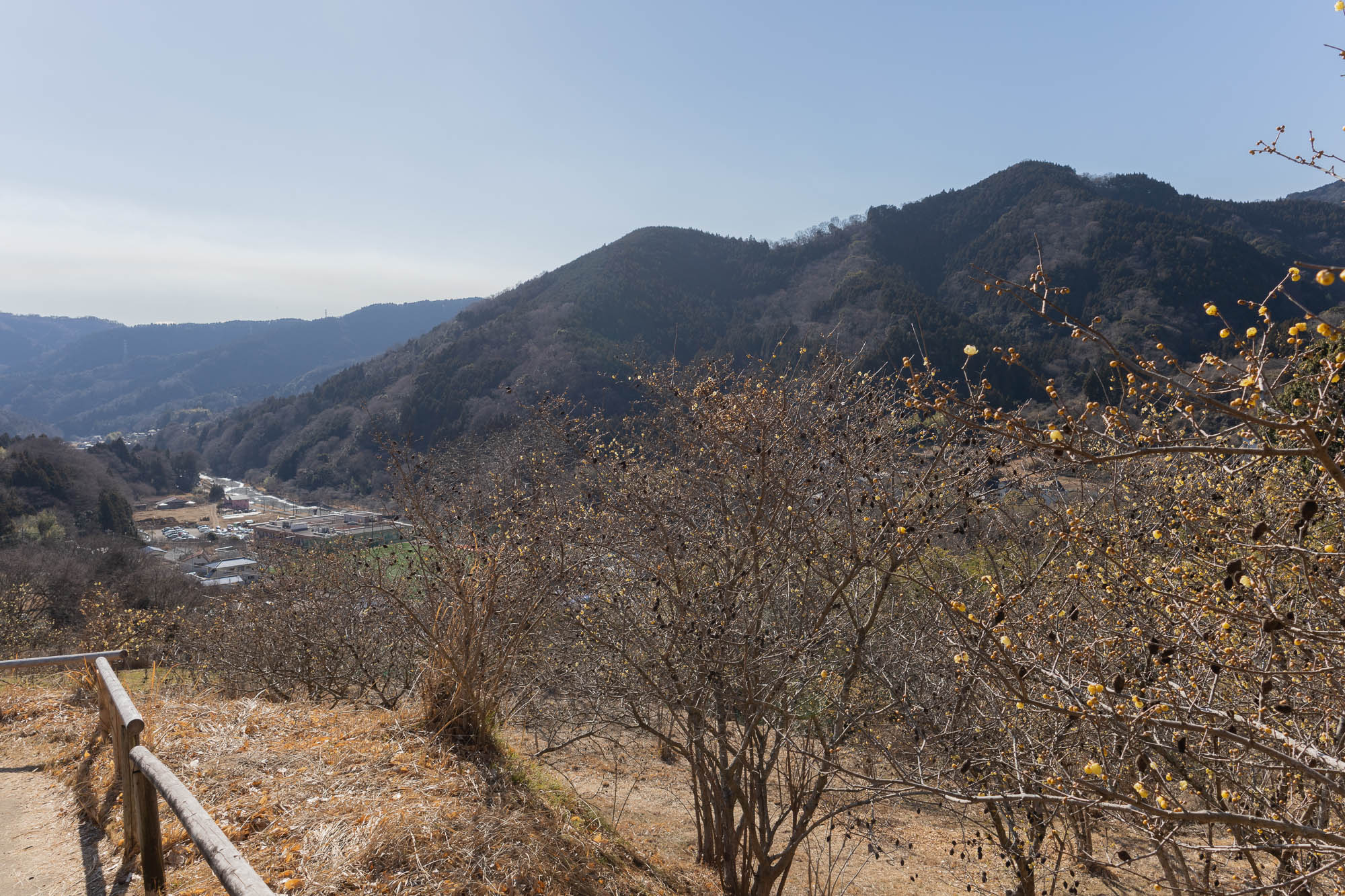 ロウバイ園からの臨む景観もよい