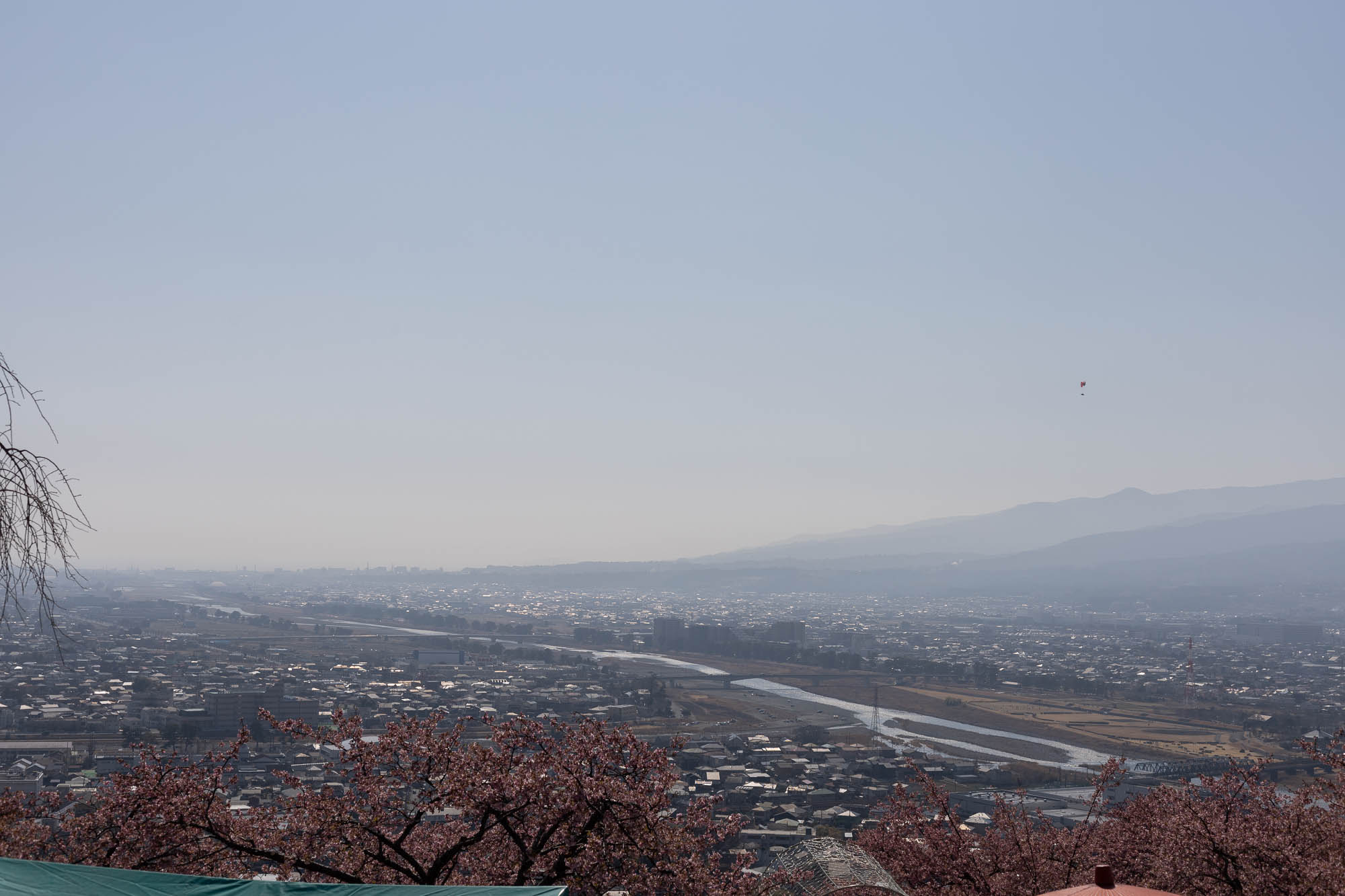 まつだ桜まつり 足柄平野を望む