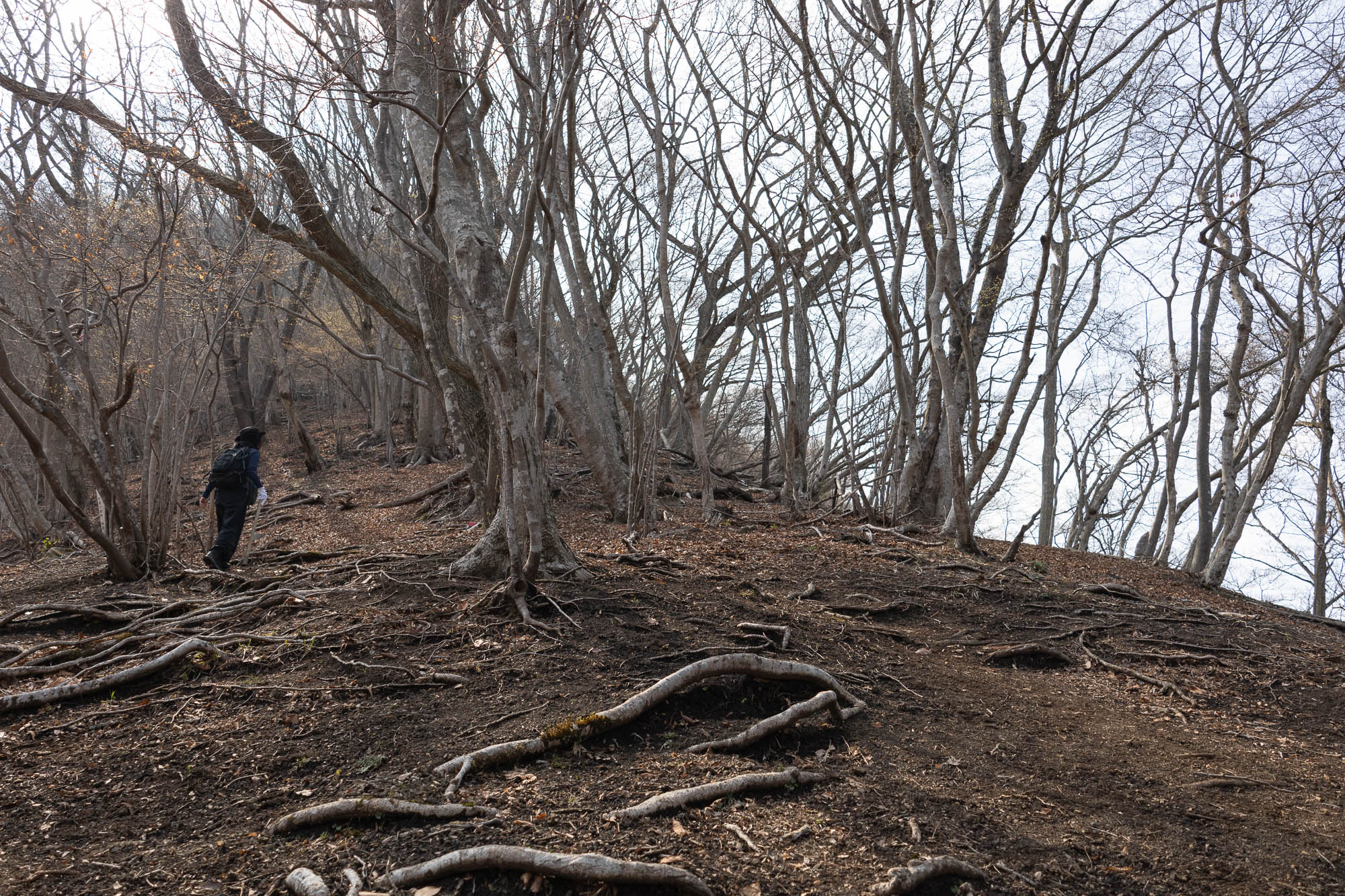 Just when I thought the slope was finally leveling off.I had to tackle a brutal 30-minute steep climb right at the very end